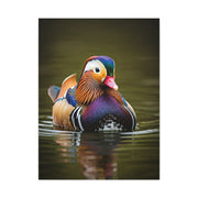 Mandarin Duck with Colorful Plumage Wall Art & Canvas Prints