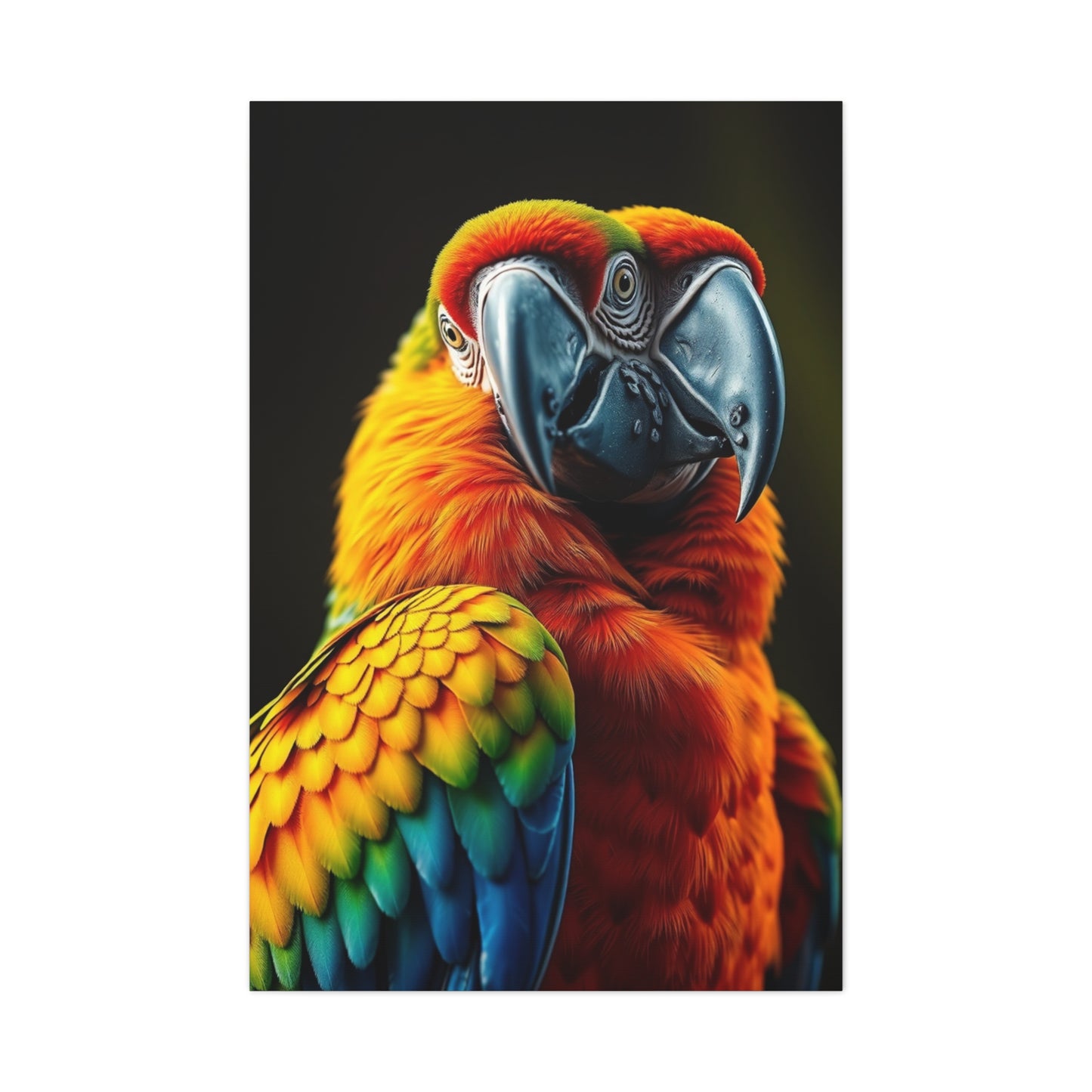 Supreme Parrot Art Beautiful Collection Wall Art & Canvas Print