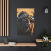 Golden Sunset Cape Buffalo Portrait Wall Art & Canvas Print
