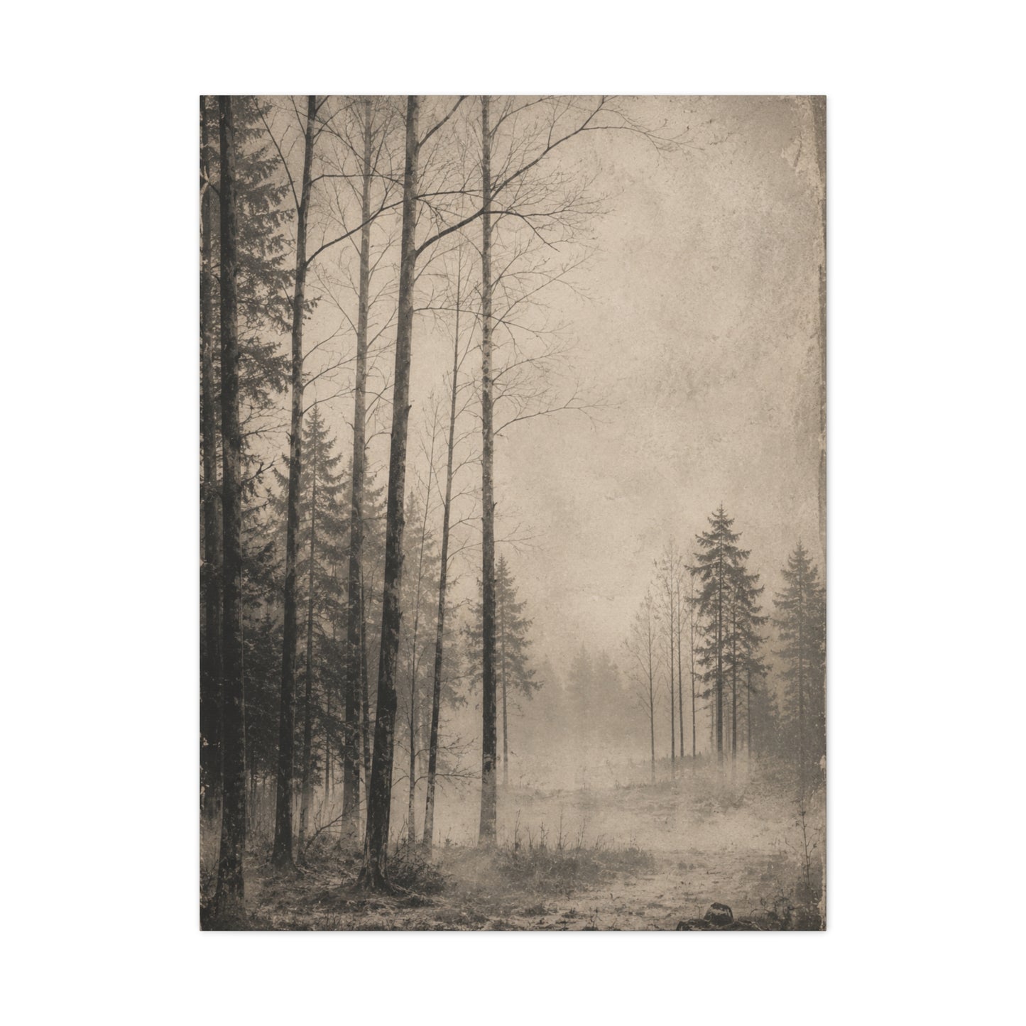 Vintage Fog Forest Monochrome Trees Wall Art & Canvas Print