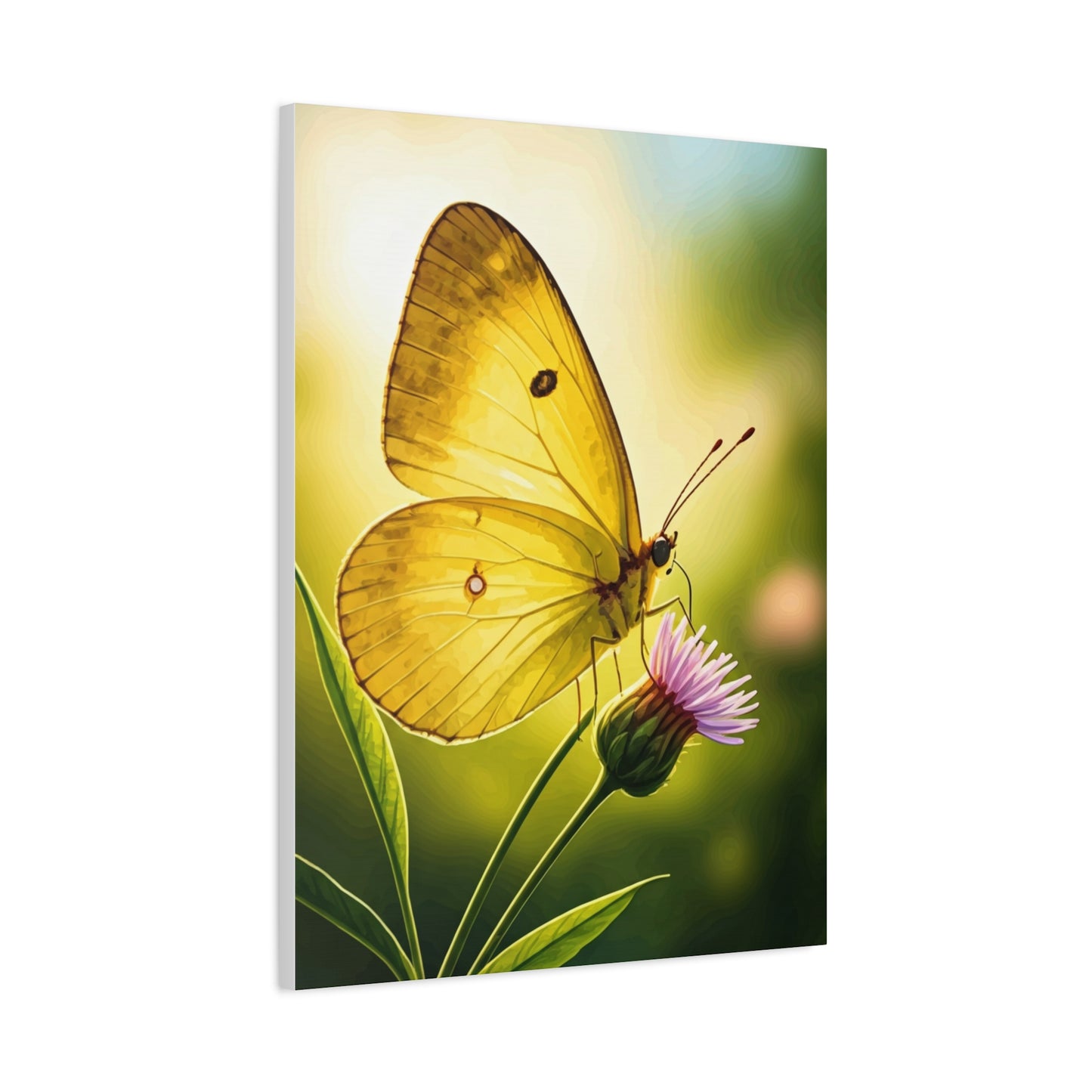 Golden Light Butterfly Close-Up Wall Art & Canvas Prints