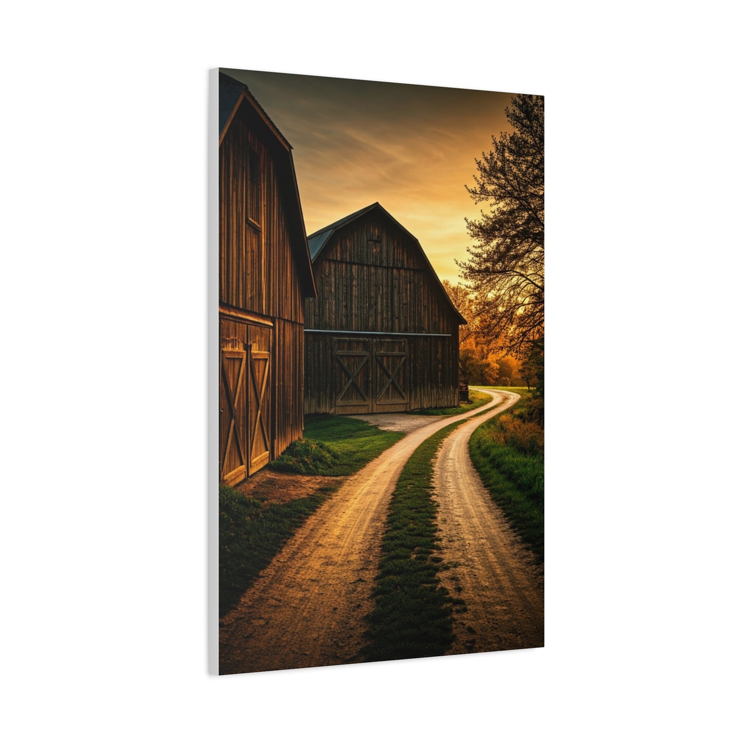 Country Road Between Rustic Barns at Golden Hour Wall Art & Canvas Prints