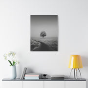 Lone Tree Winter Field Wall Art & Canvas Print