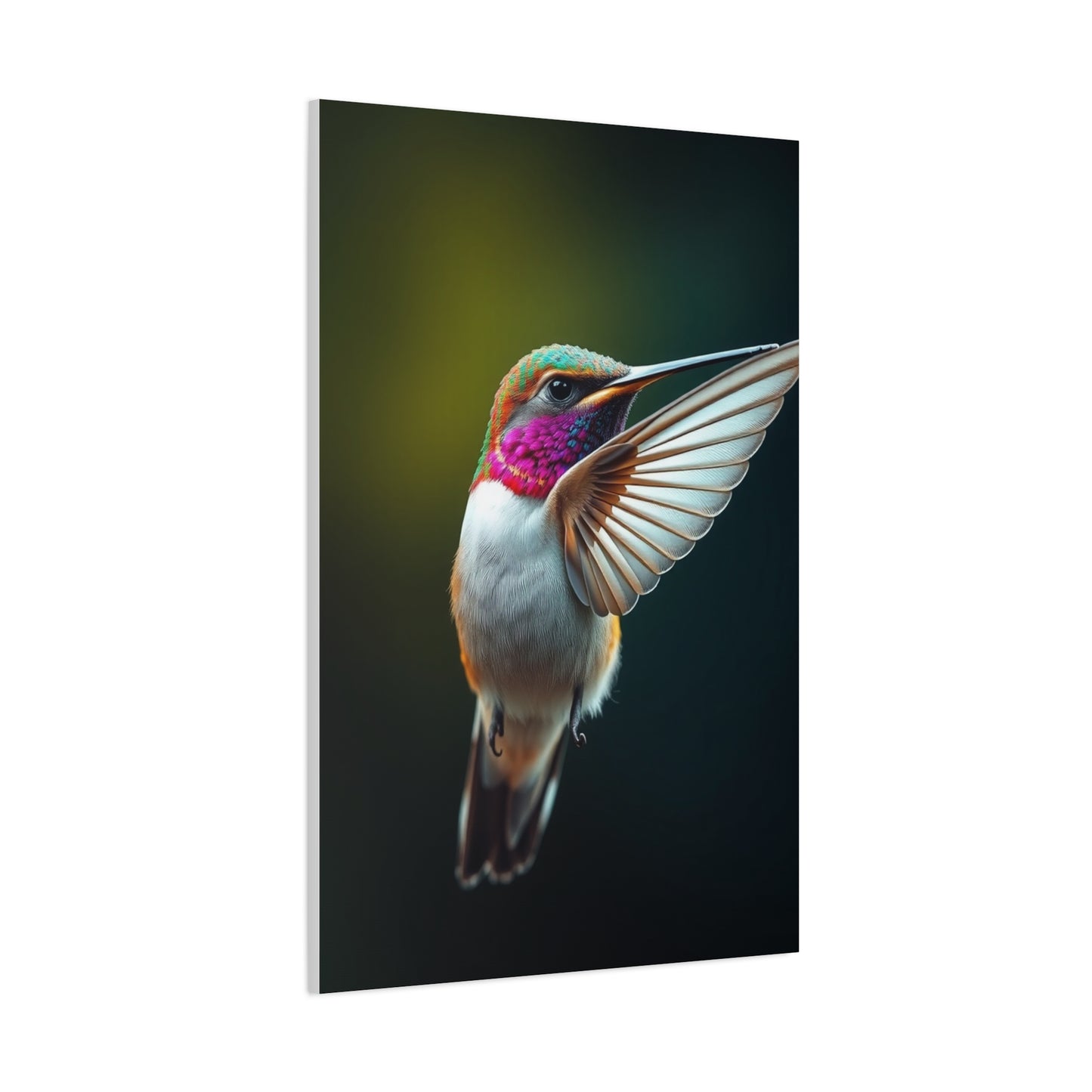Humming Bird Art Supreme Canvas Wall Art & Canvas Print