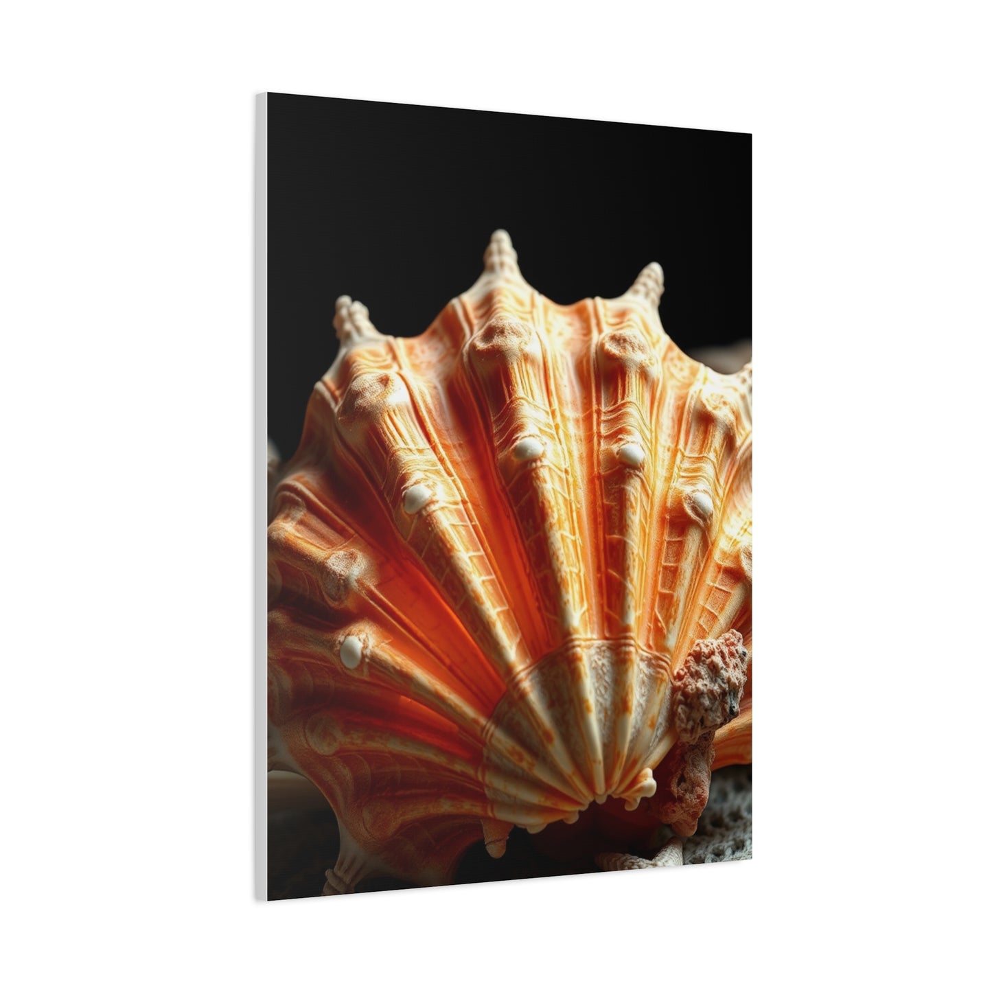Sea Shell Art Supreme Canvas Wall Art & Canvas Print