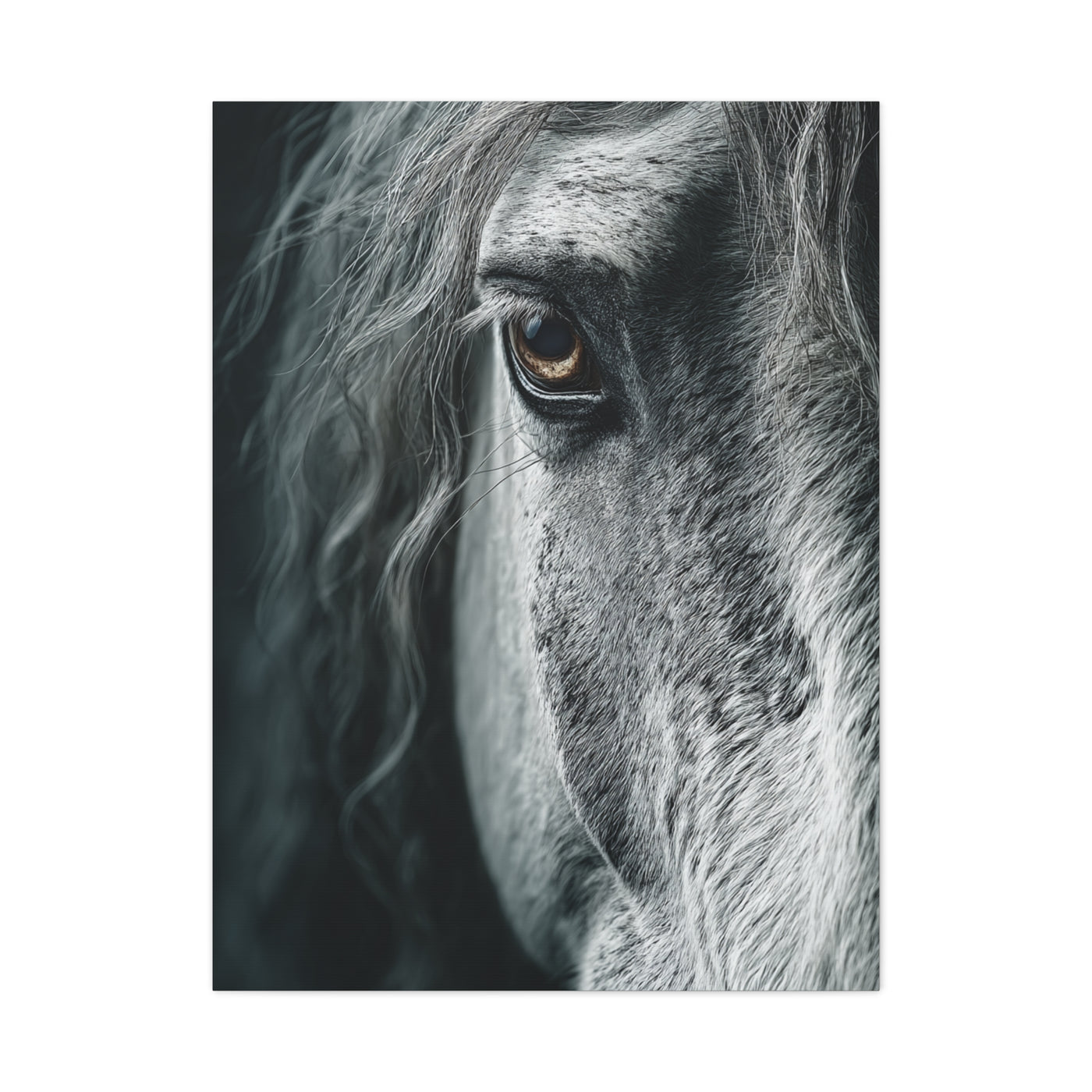 Horse Eye Intimate Monochrome Wall Art & Canvas Print