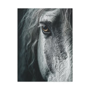 Horse Eye Intimate Monochrome Wall Art & Canvas Print