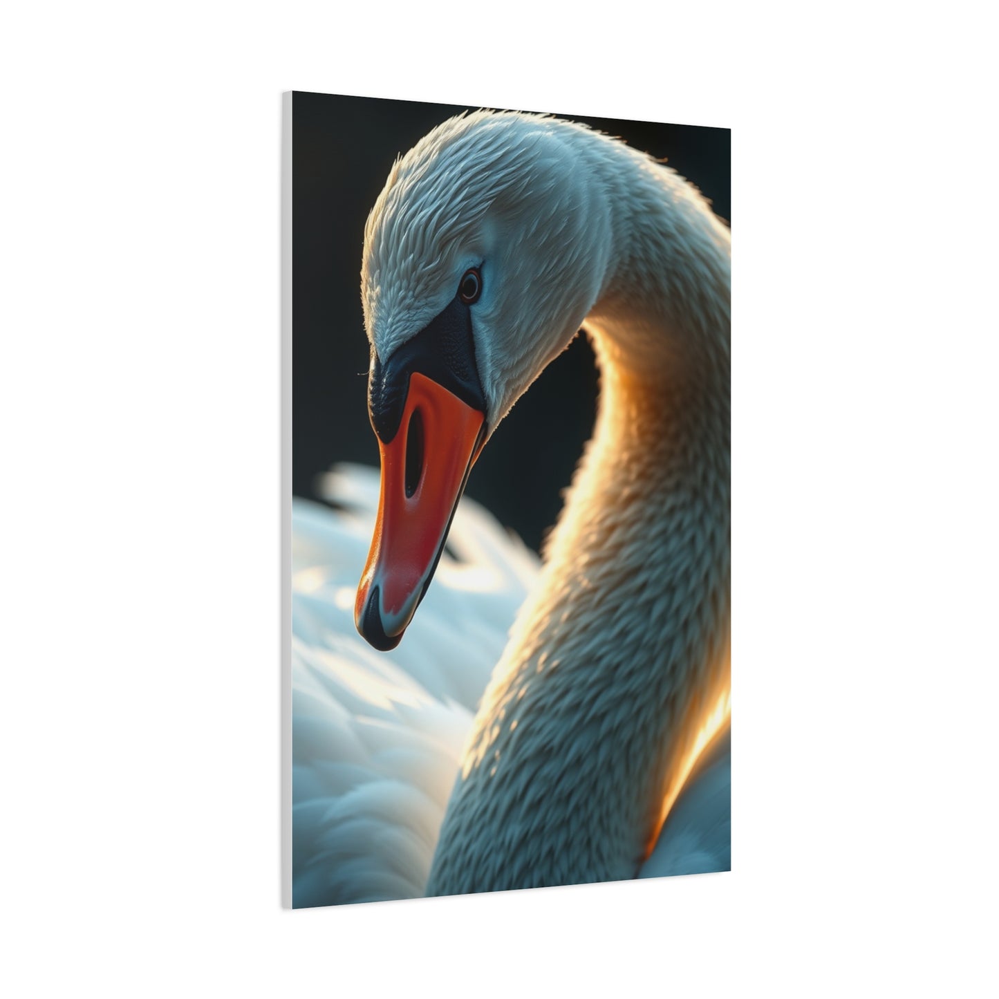 Supreme Swan Art Beautiful Collection Wall Art & Canvas Print