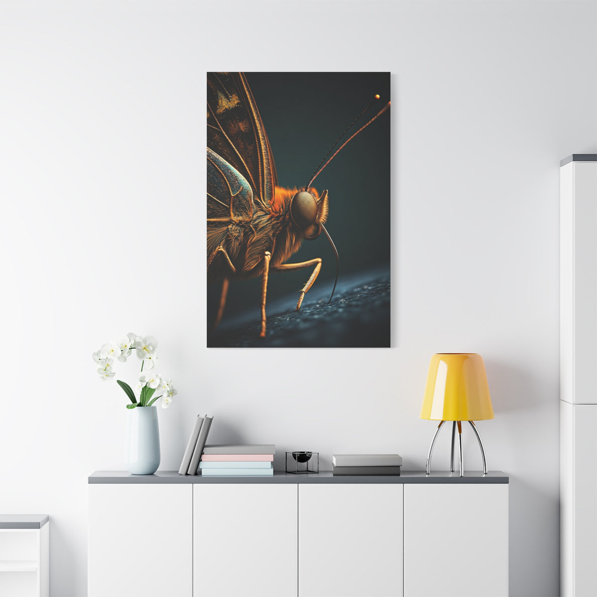 Butterfly Macro Anatomy Close-Up Wall Art & Canvas Prints