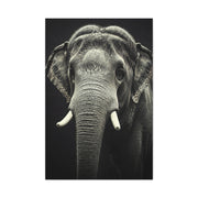 Regal Elephant Close-Up Wall Art & Canvas Prints