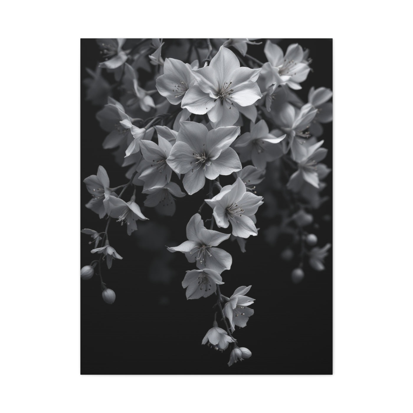 Cascading Cherry Blossom Branch Wall Art & Canvas Prints