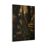 Renaissance Garden Peacock Wall Art & Canvas Print