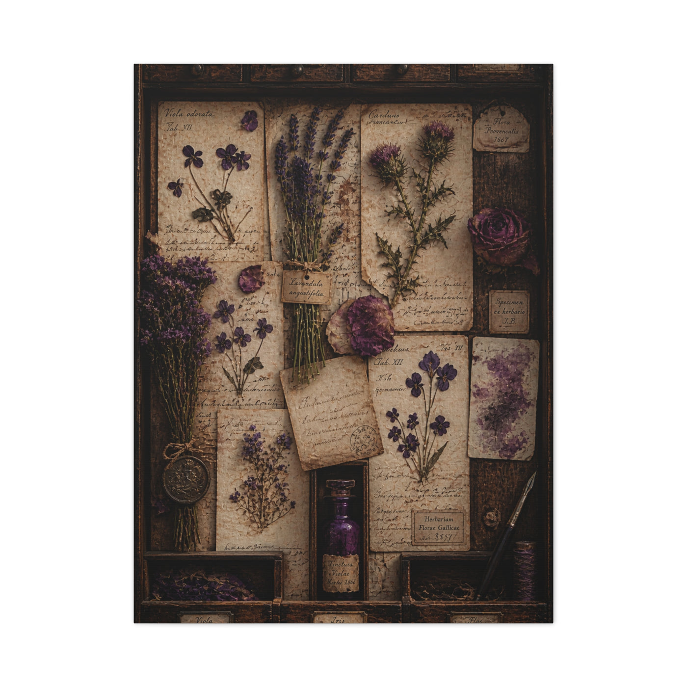 Antique Botanical Herbarium Study Wall Art & Canvas Print