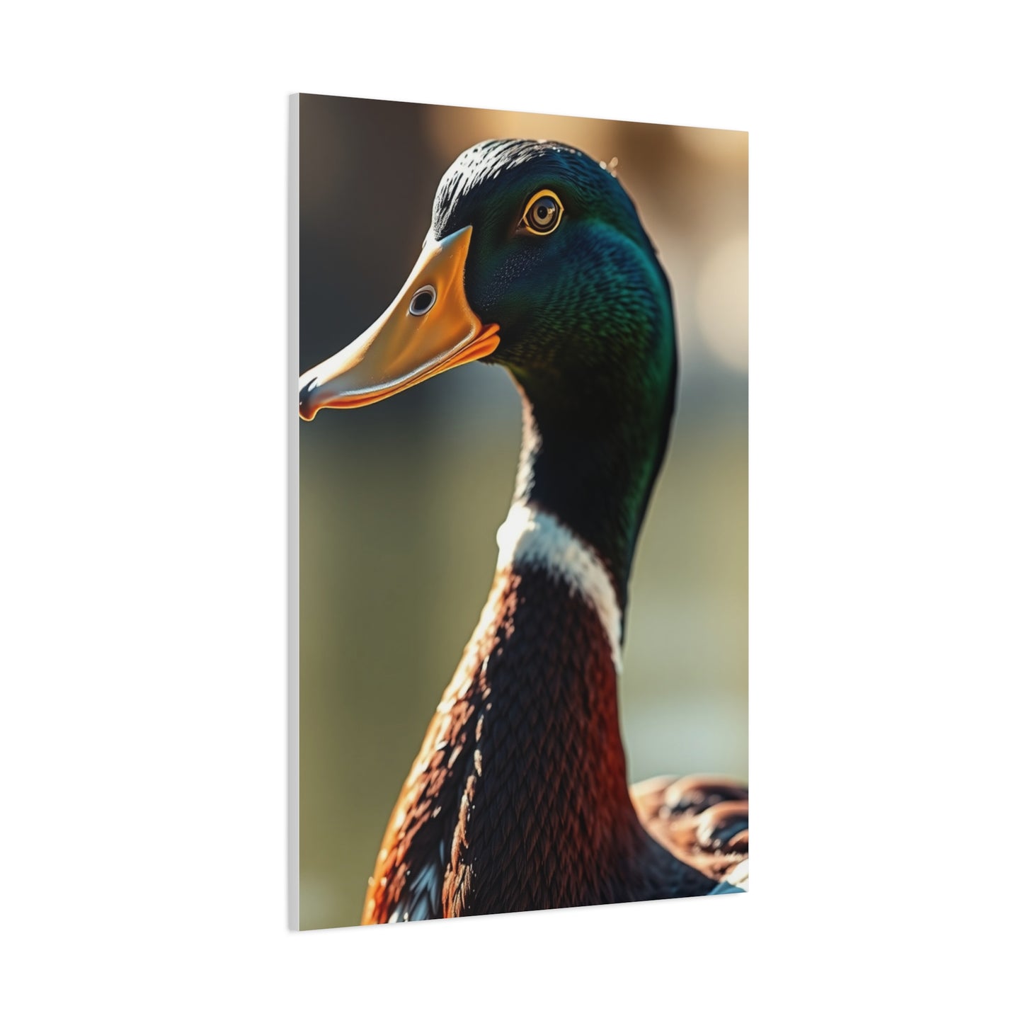 Supreme Duck Art Beautiful Collection Wall Art & Canvas Print