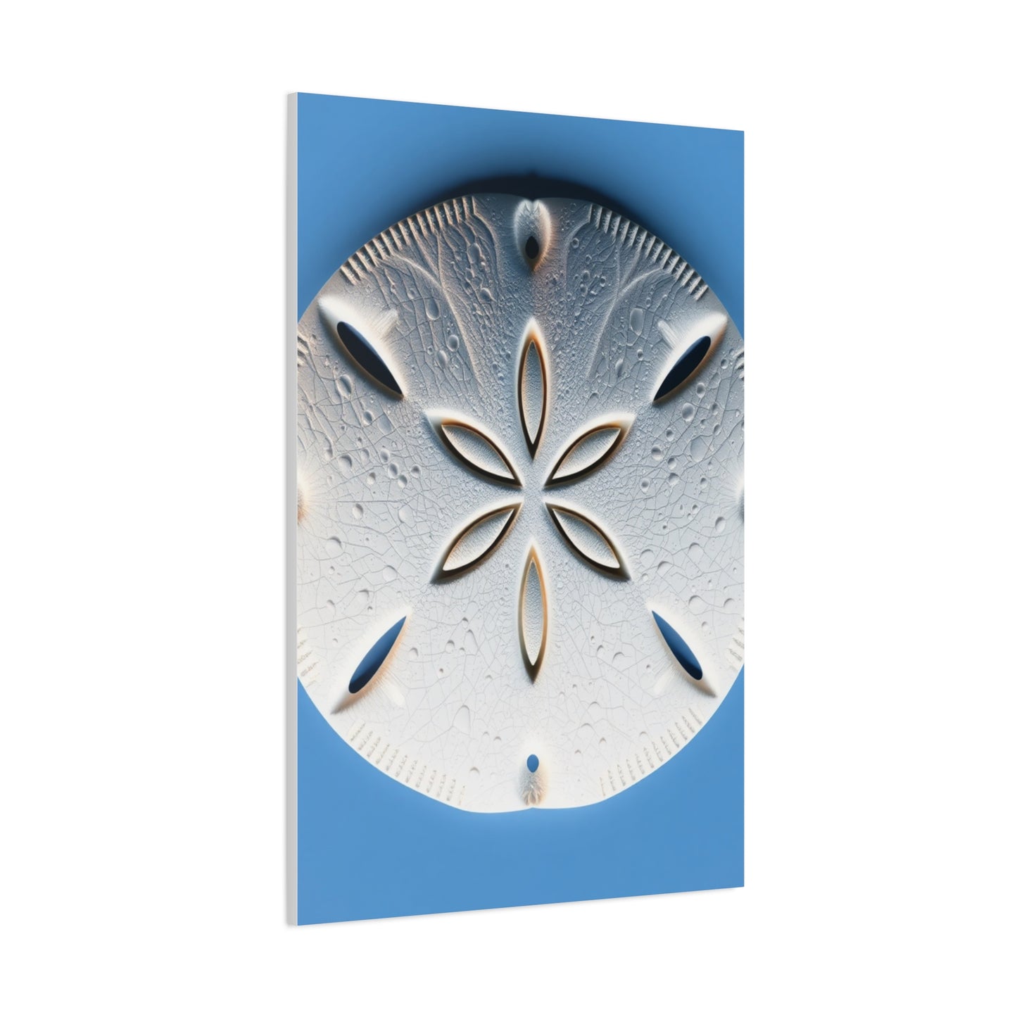 Sand Dollar Art Supreme Canvas Wall Art & Canvas Print