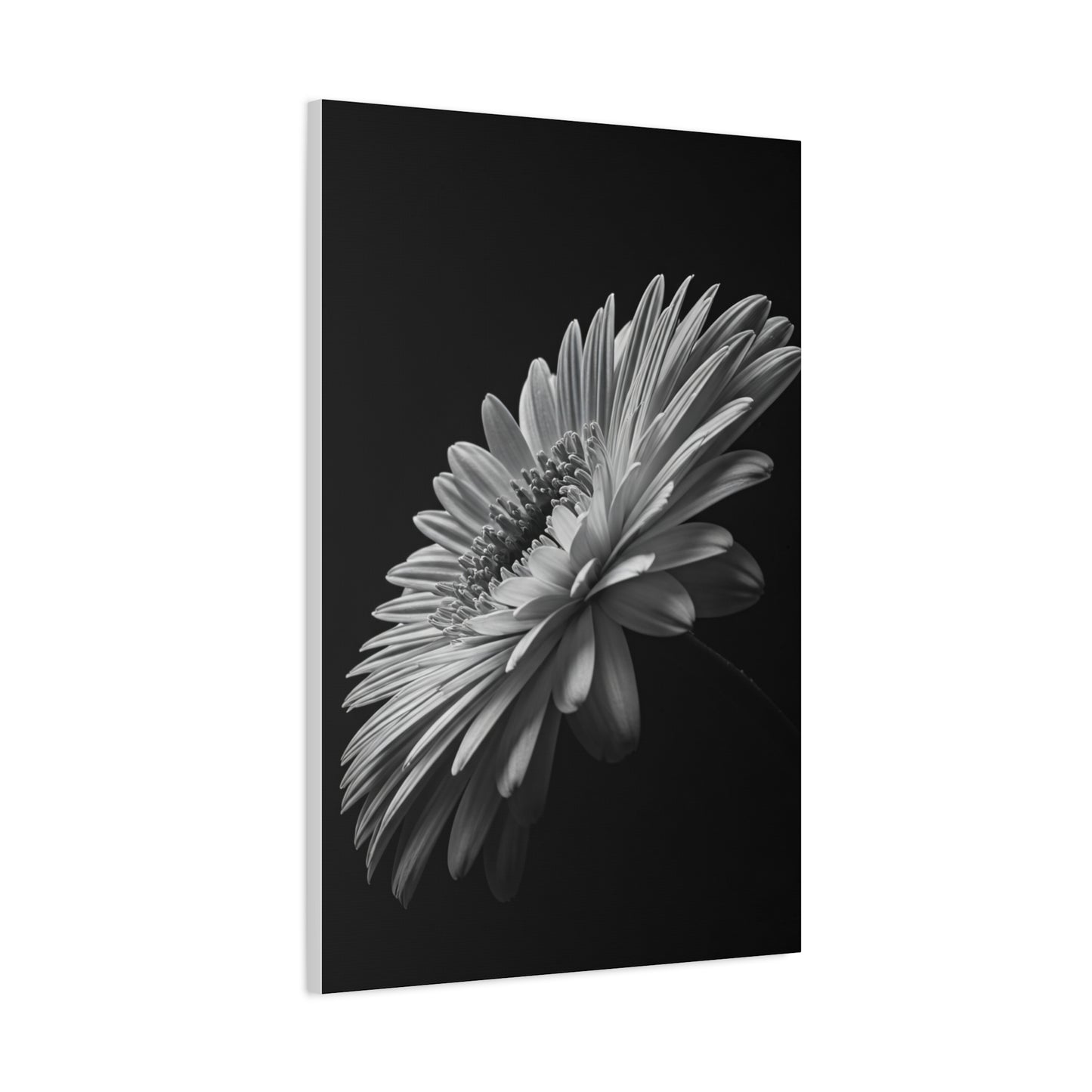 Angled Bloom with Bud Detail Wall Art & Canvas Prints