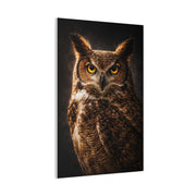 Great Horned Owl Portrait Studio Wall Art & Canvas Print