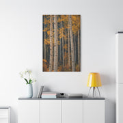 Golden Aspen Forest Autumn Vertical Trees Wall Art & Canvas Print