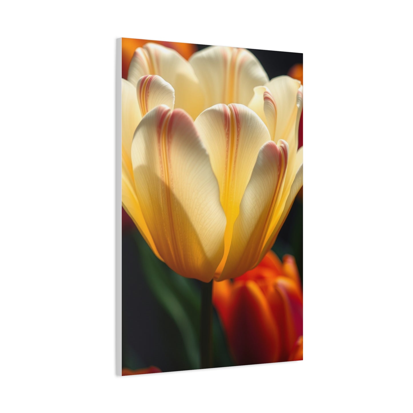 Collection Tulip Flower Art Art Wall Art & Canvas Print