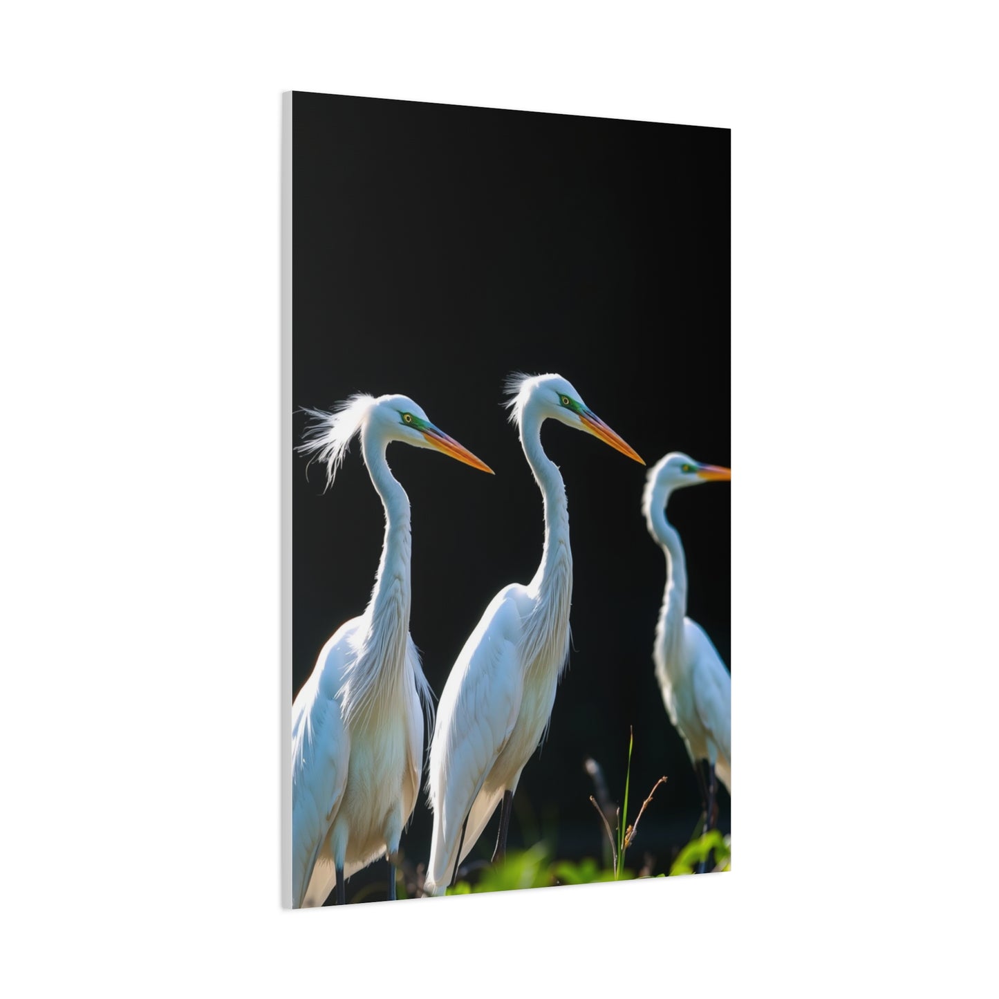 Vision Herons and Egrets Art Art Wall Art & Canvas Print