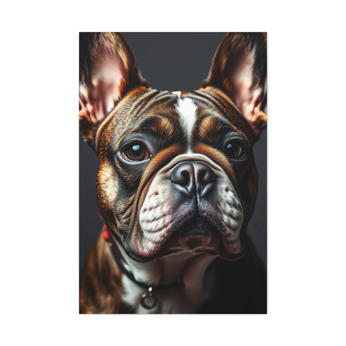 Supreme French Bulldog Art Beautiful Collection Wall Art & Canvas Print