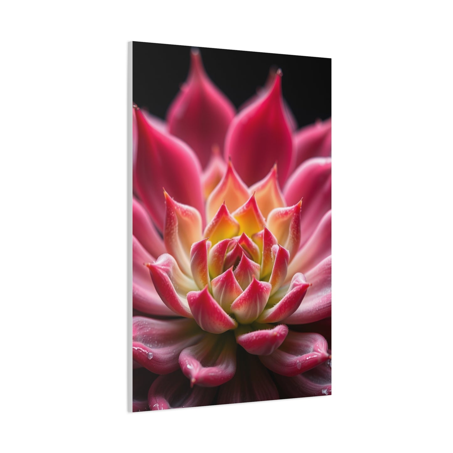 Succulent Art Supreme Canvas Wall Art & Canvas Print
