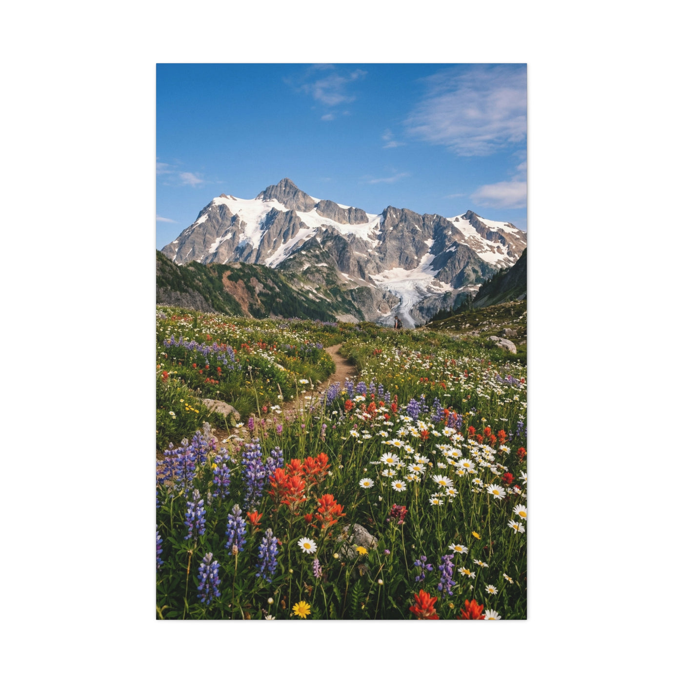 High Alpine Wildflower Meadow Wall Art & Canvas Print