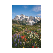 High Alpine Wildflower Meadow Wall Art & Canvas Print