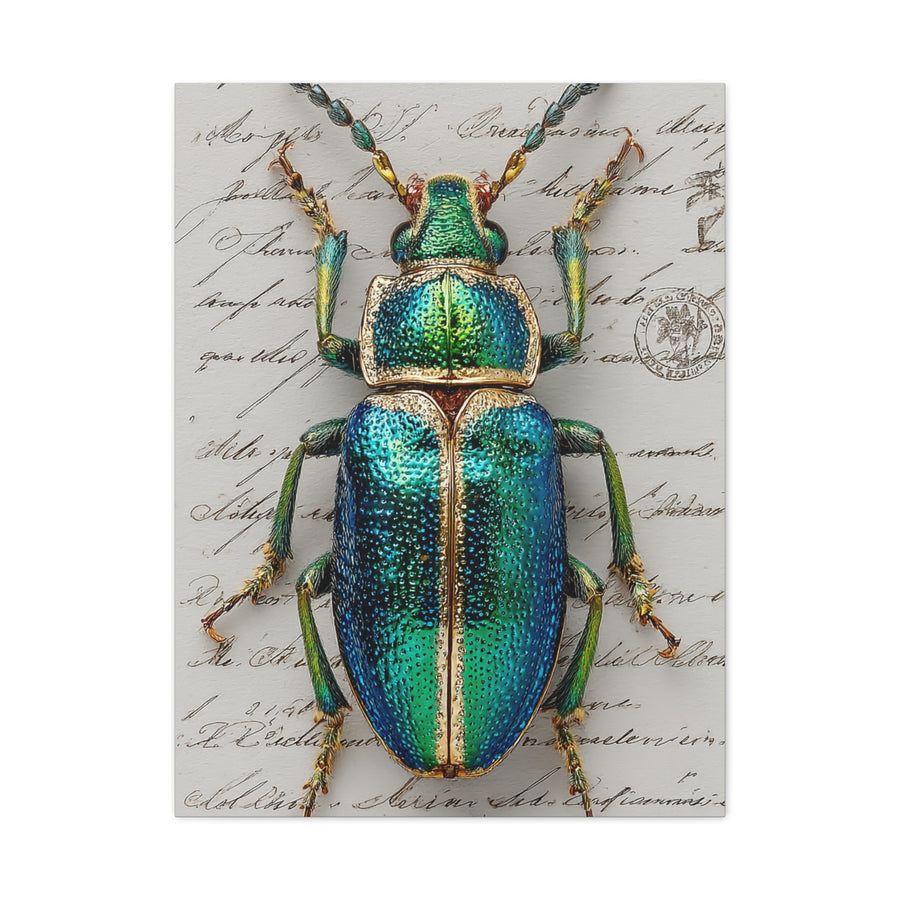 Emerald Beetle Natural History Wall Art & Canvas Print