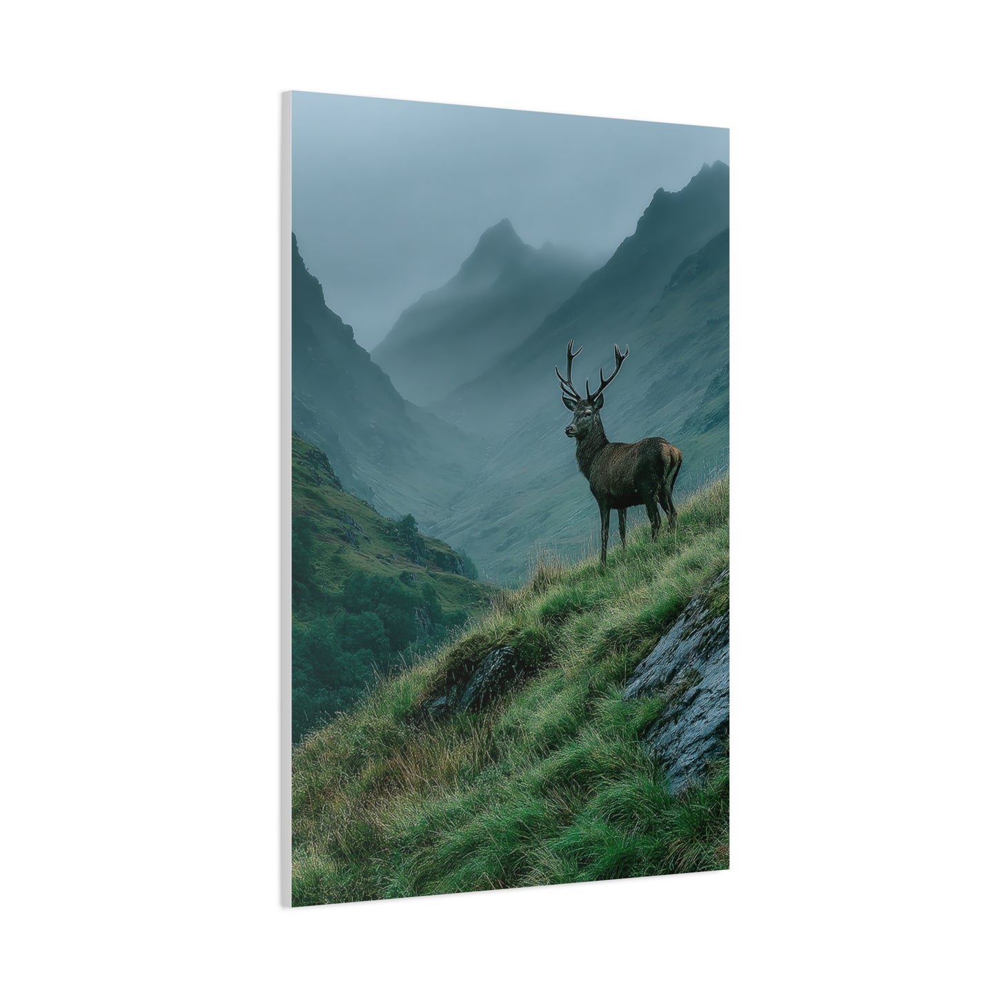 Highland Valley Stag Vista Wall Art & Canvas Print