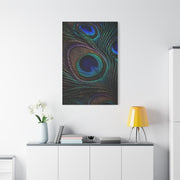 Macro Iridescent Peacock Feather Wall Art & Canvas Print