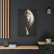 White Lion Shadow Walk Power Wall Art & Canvas Print