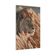 Lion in Golden Grass Calm Watch Wall Art & Canvas Print
