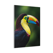 Toucan with Vibrant Yellow Beak Wall Art & Canvas Prints