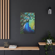 Vibrant Peacock Portrait Wall Art & Canvas Prints