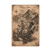 Antique Alpine Flora Engraving Wall Art & Canvas Print