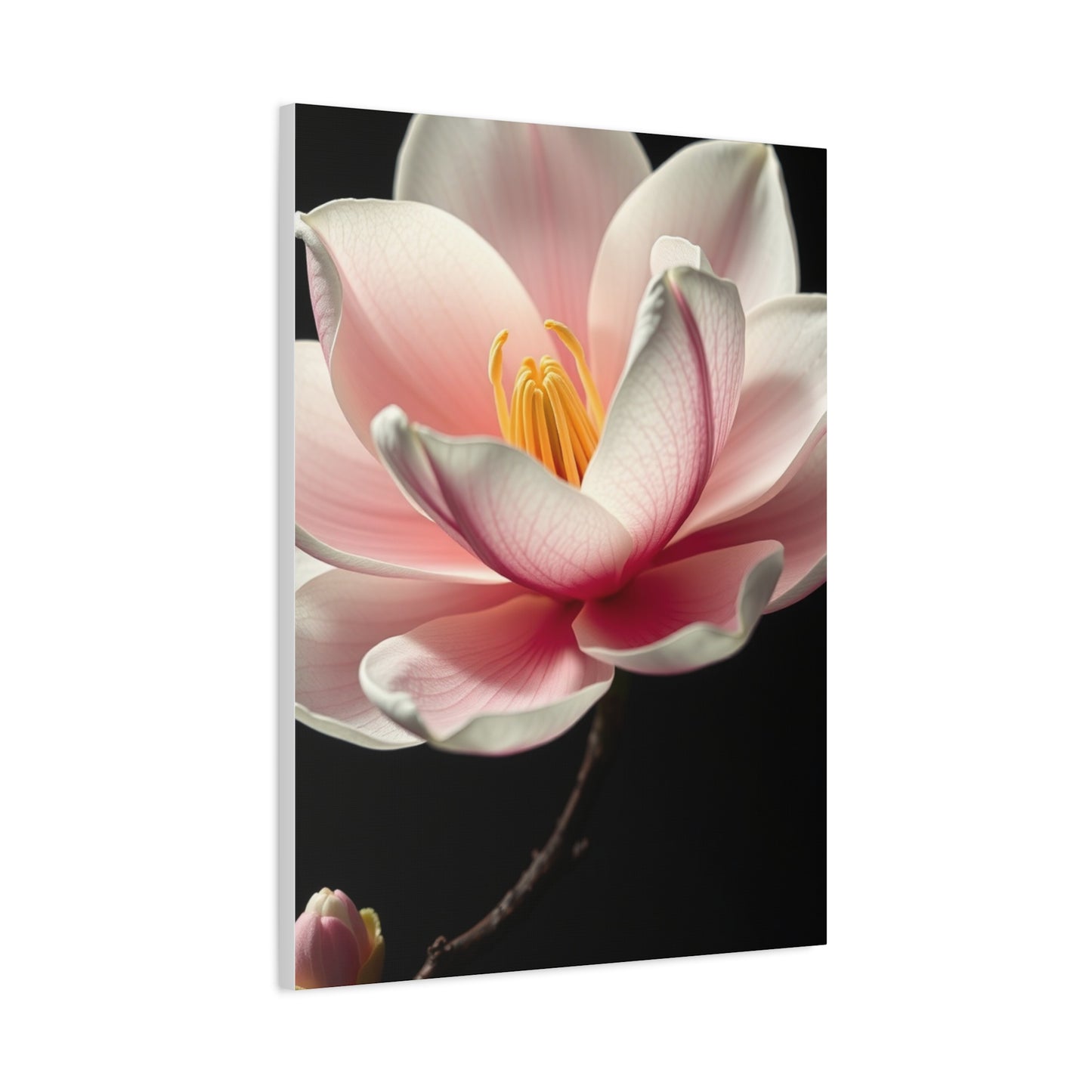 Magnolia Art Supreme Canvas Wall Art & Canvas Print