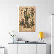 Vintage Desert Botanical Study Southwest Wall Art & Canvas Print
