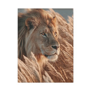 Lion in Golden Grass Calm Watch Wall Art & Canvas Print