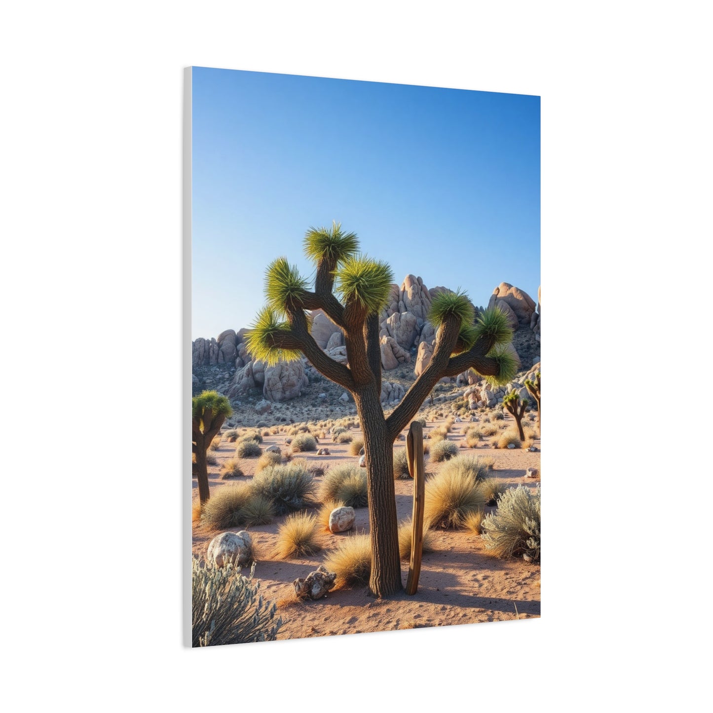 Masterpiece Joshua Tree National Park Art Vision Wall Art & Canvas Print