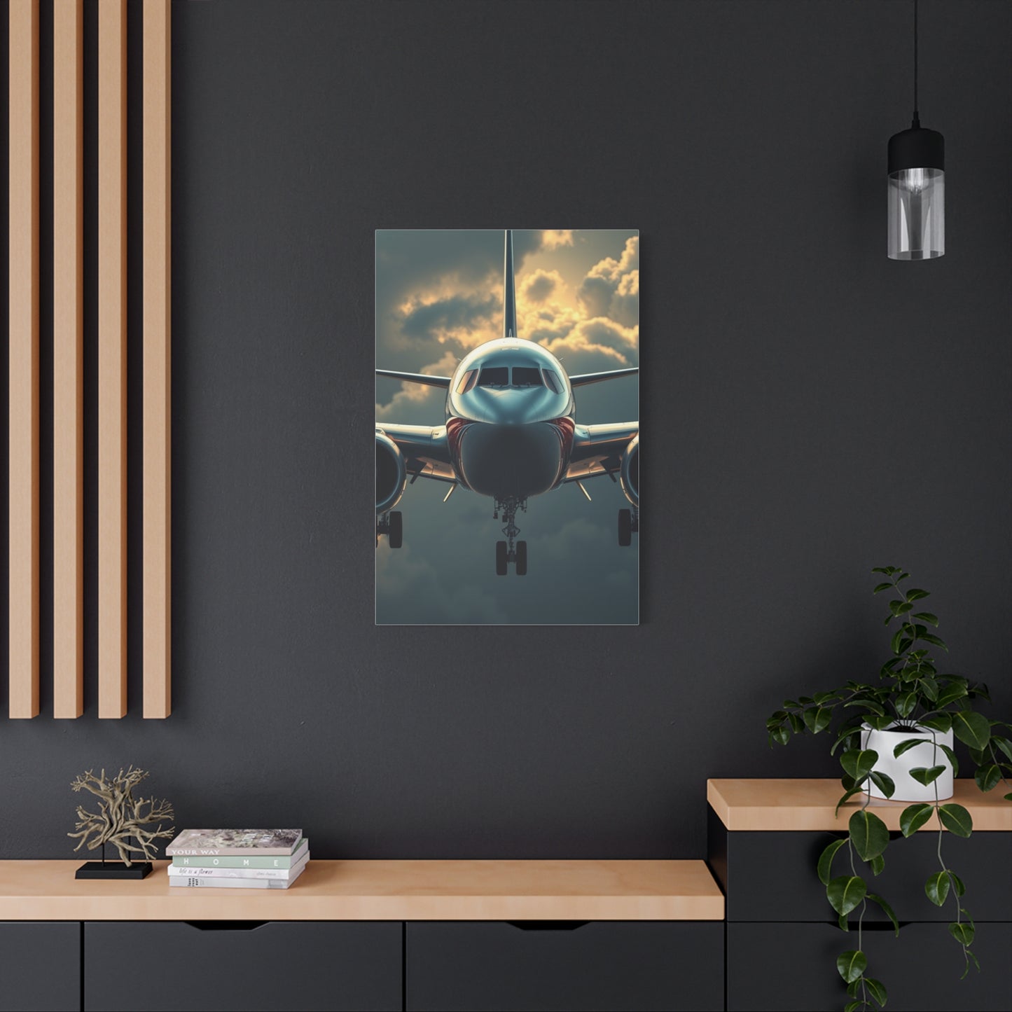 Supreme Airplane Art Beautiful Collection Wall Art & Canvas Print
