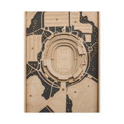 Topographic Stadium Map Sports Wall Art & Canvas Print