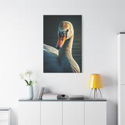 Serene Swan Reflection Wall Art & Canvas Prints