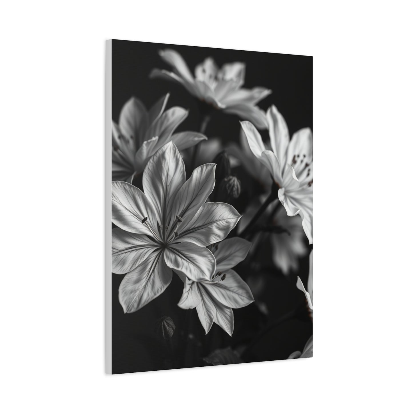 Ebony Whiteness Petal Tableau Wall Art & Canvas Print