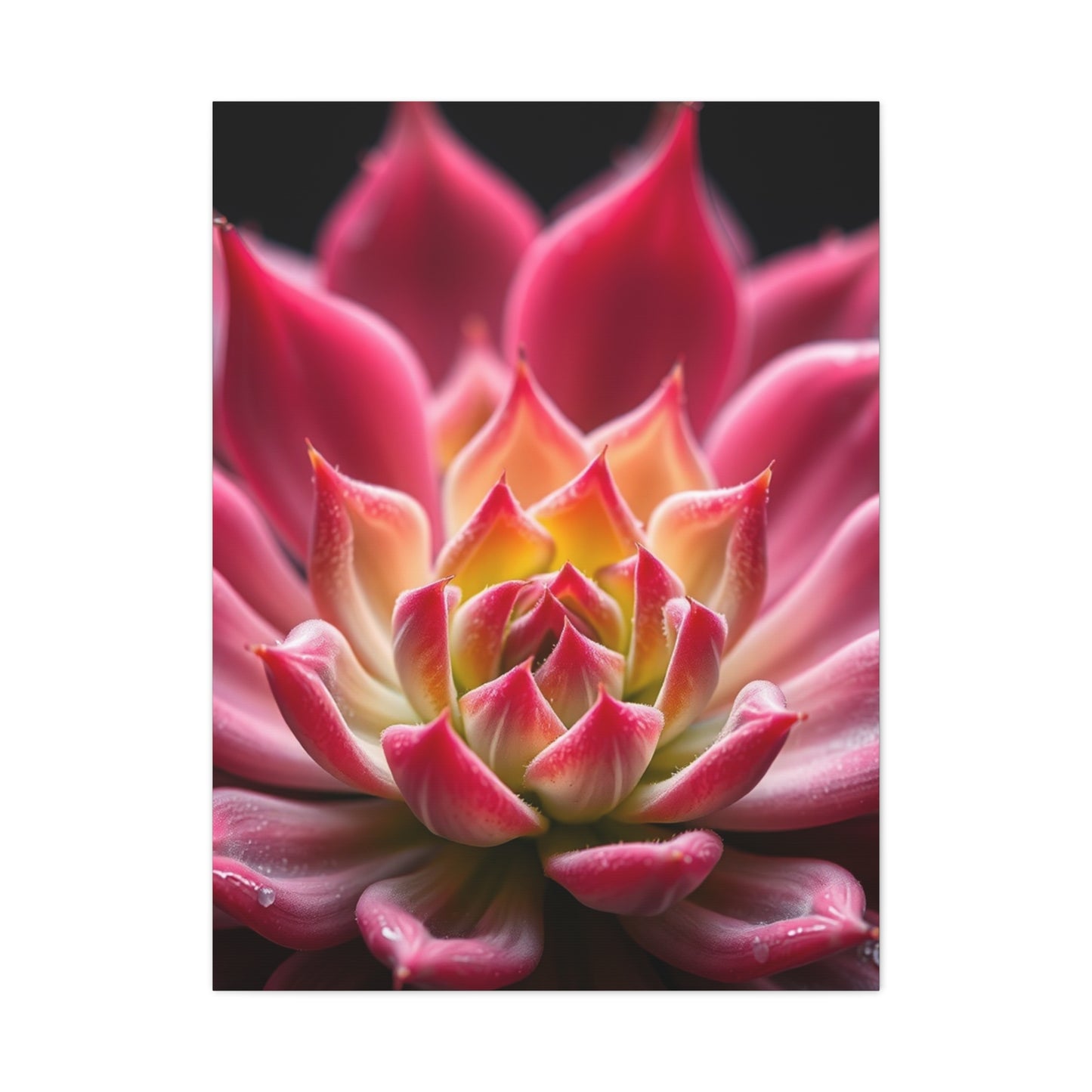 Succulent Art Supreme Canvas Wall Art & Canvas Print