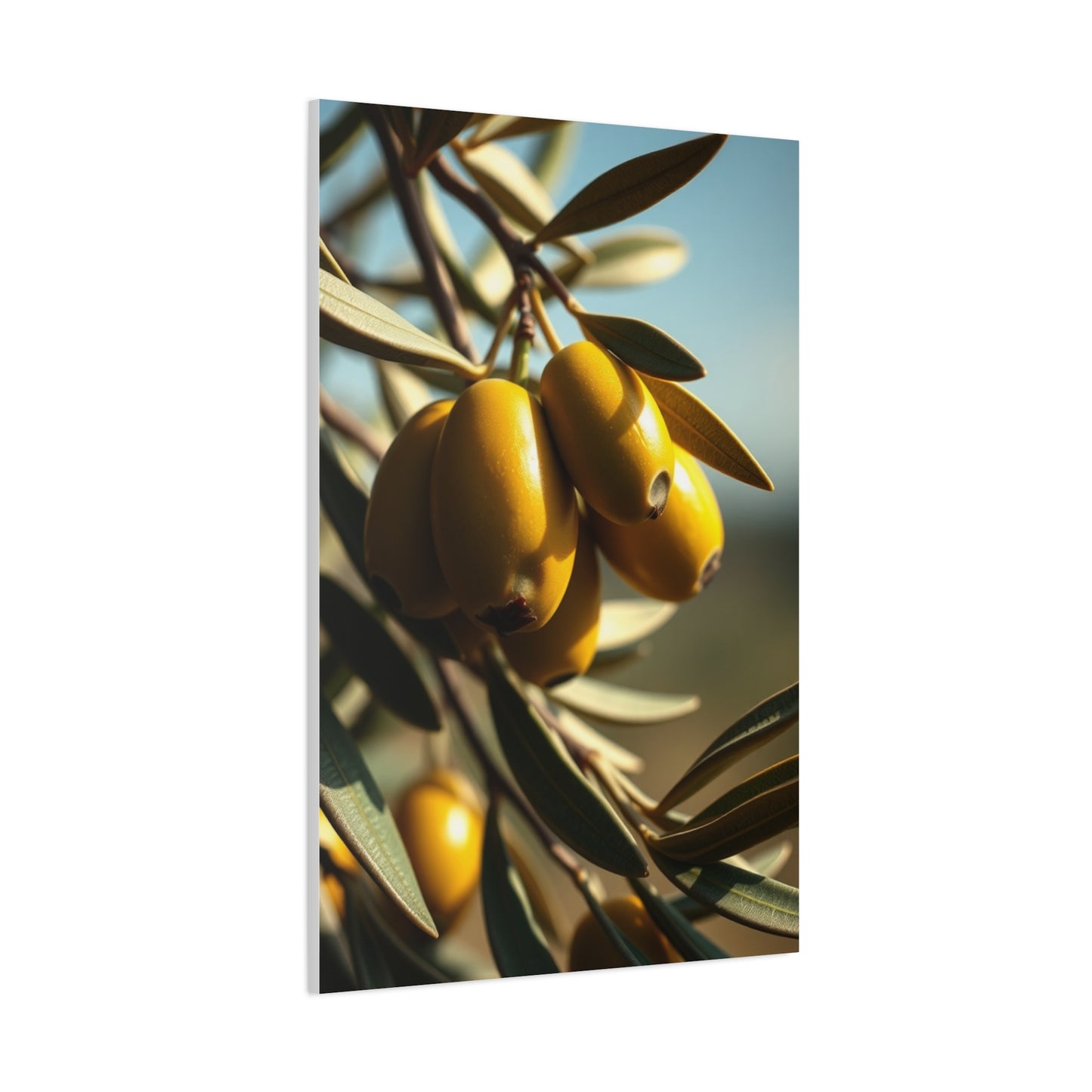 Emerald Serenity Showcase Wall Art & Canvas Print
