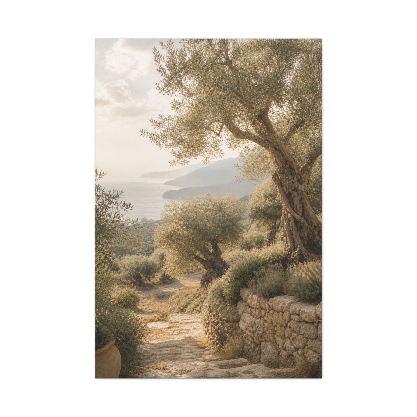 Olive Grove Coastal Serenity Wall Art & Canvas Print
