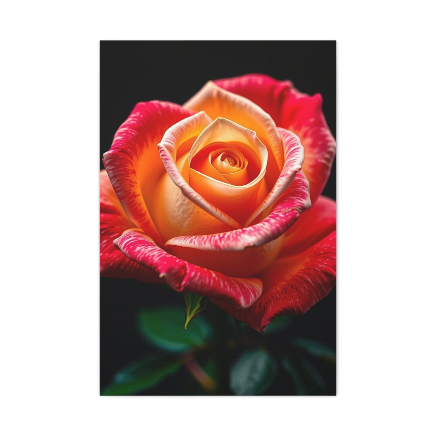 Supreme Rose Art Beautiful Collection Wall Art & Canvas Print