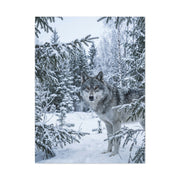 Winter Forest Wolf Natural Encounter Scene Wall Art & Canvas Print