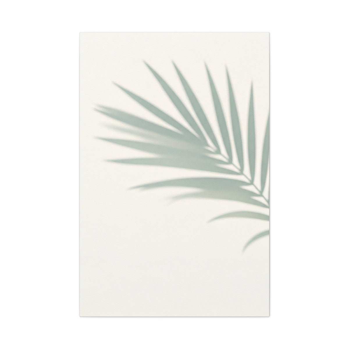 Soft Palm Frond Shadow Minimal Wall Art & Canvas Prints